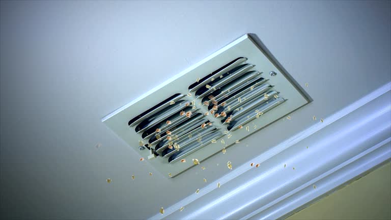 Best HVAC Maintenance and Cleaning  in Scotland Neck, NC