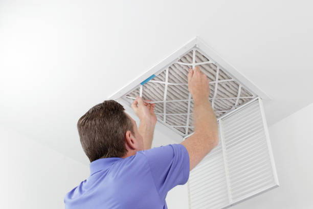 Best Home Air Vent Cleaning  in Scotland Neck, NC
